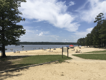 12 Miles to falls lake